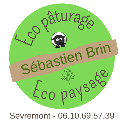 logo Brin Sebastien